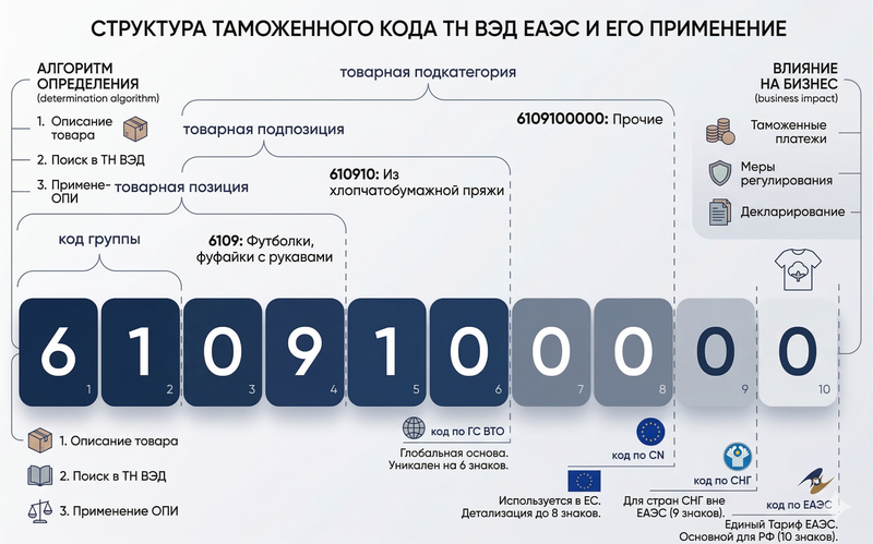 код ТН ВЭД состав и назначение инфографика от INSAL